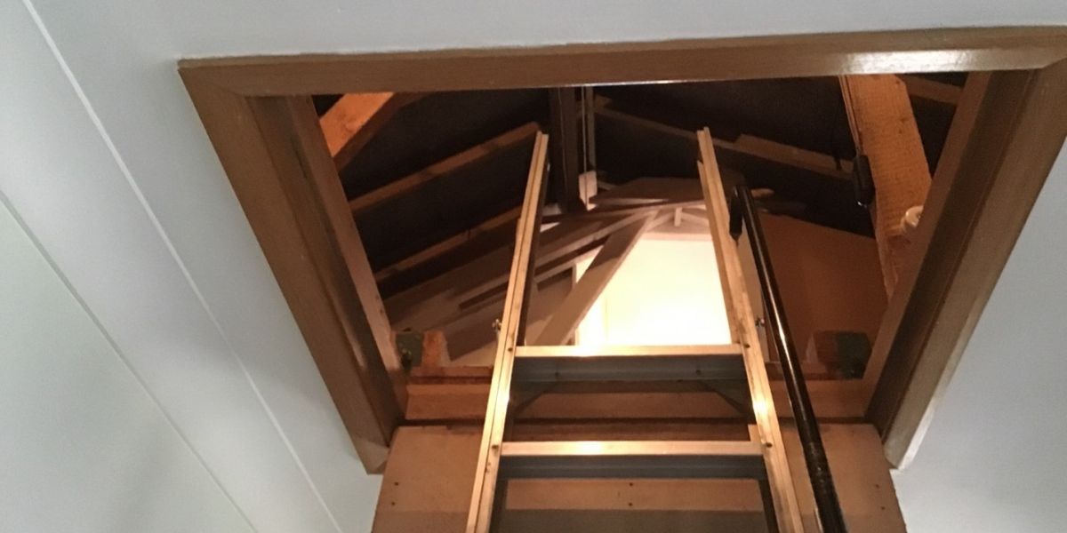 Why remove and replace loft insulation? News Extract Insulation